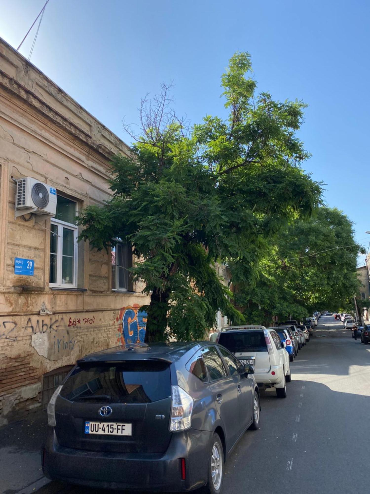 Old Tbilisi City Center, Two - Room Apartment Εξωτερικό φωτογραφία